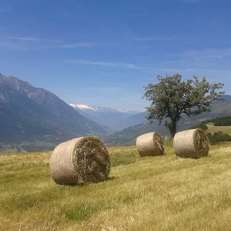 Vacanze In Totale Tranquillita